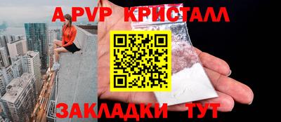 стаф Заводоуковск