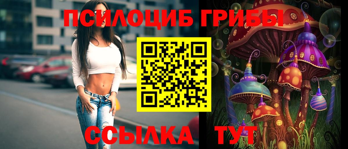 Галлюциногенные грибы Magic Shrooms Медногорск