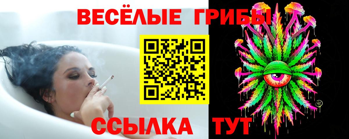 Медногорск  Псилоцибиновые грибы MAGIC MUSHROOMS  Вход с VPN 